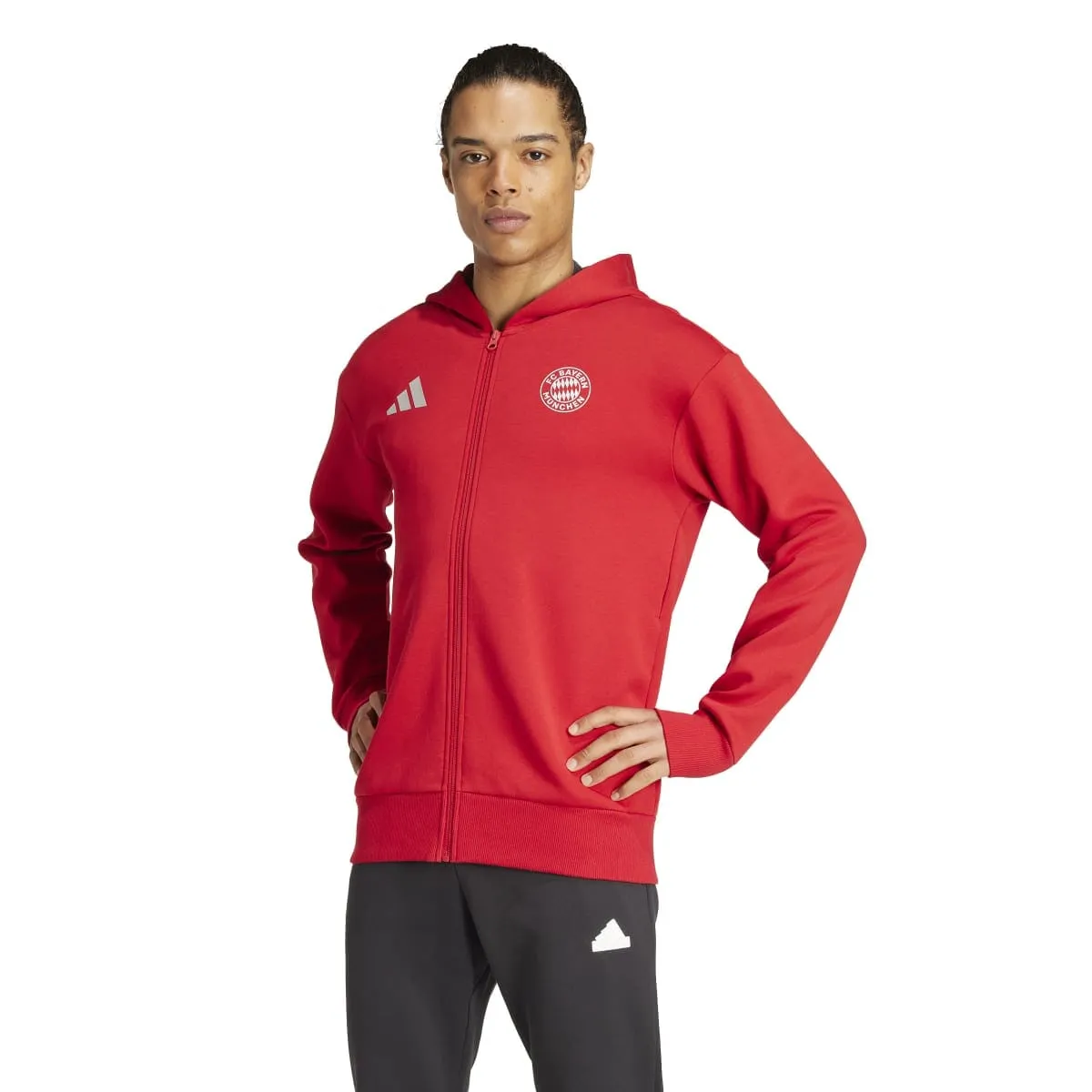 adidas Men's FC Bayern Anthem Jacket | IT4121