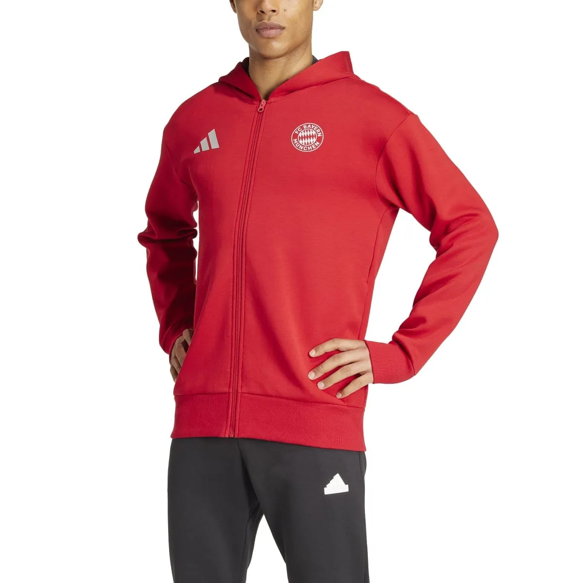 adidas Men's FC Bayern Anthem Jacket | IT4121