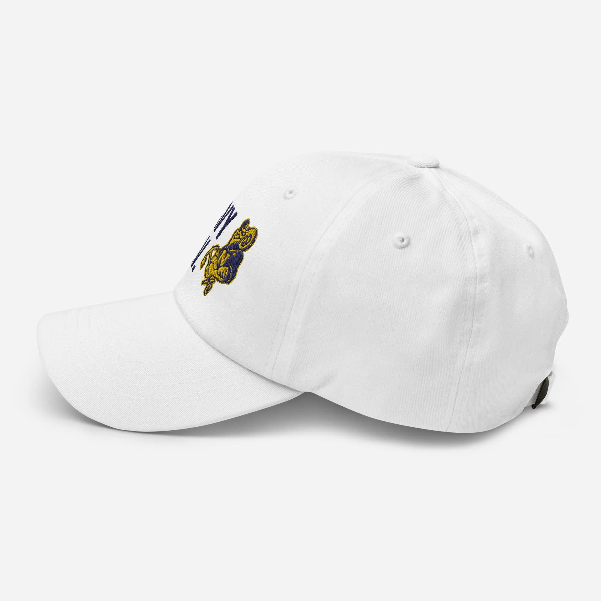 Navy RV Baseball Hat