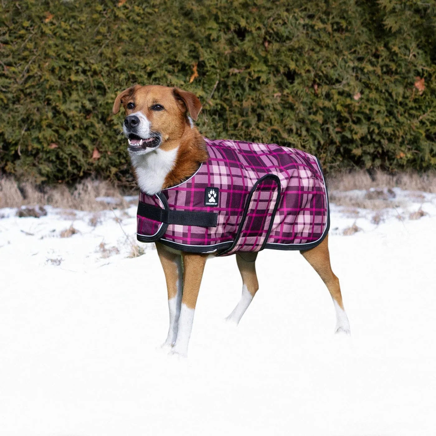 Shedrow K9 - Shedrow K9 Glacier Dog Coat - Potent Purple Plaid: Medium Small