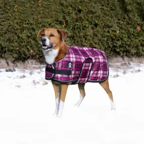 Shedrow K9 - Shedrow K9 Glacier Dog Coat - Potent Purple Plaid: Medium Small