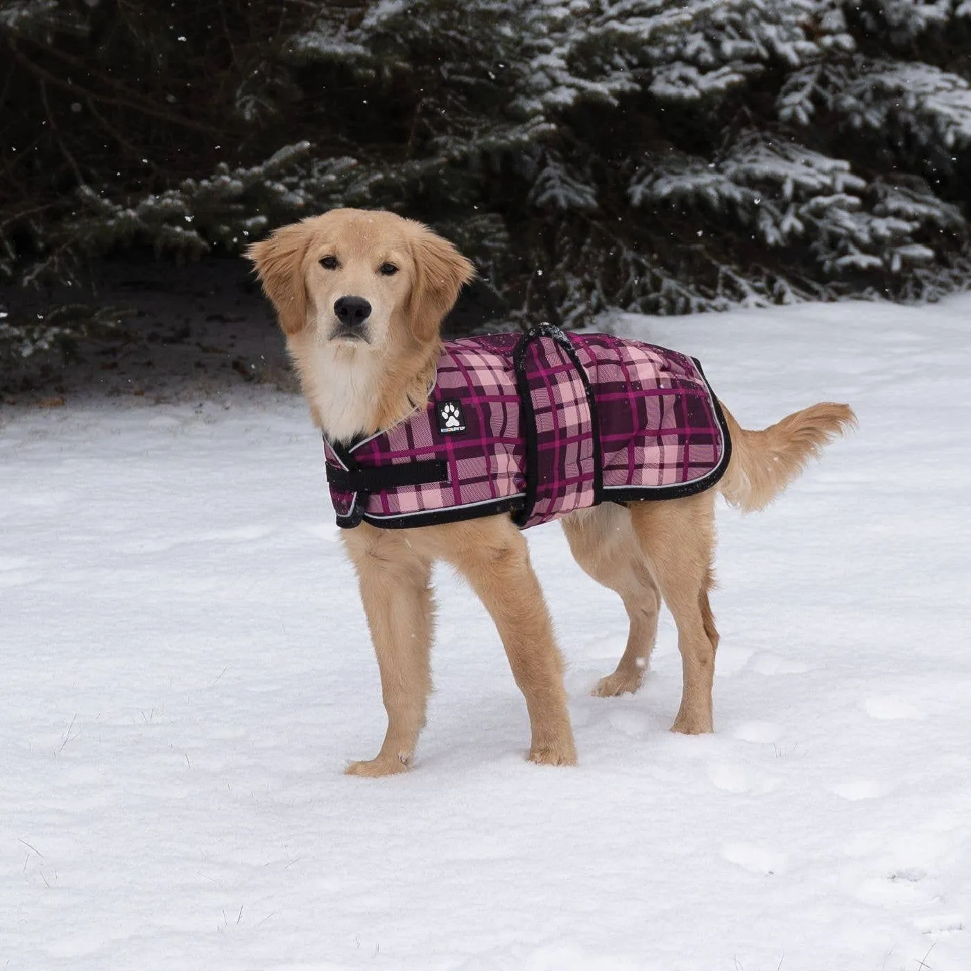 Shedrow K9 - Shedrow K9 Glacier Dog Coat - Potent Purple Plaid: Medium Small